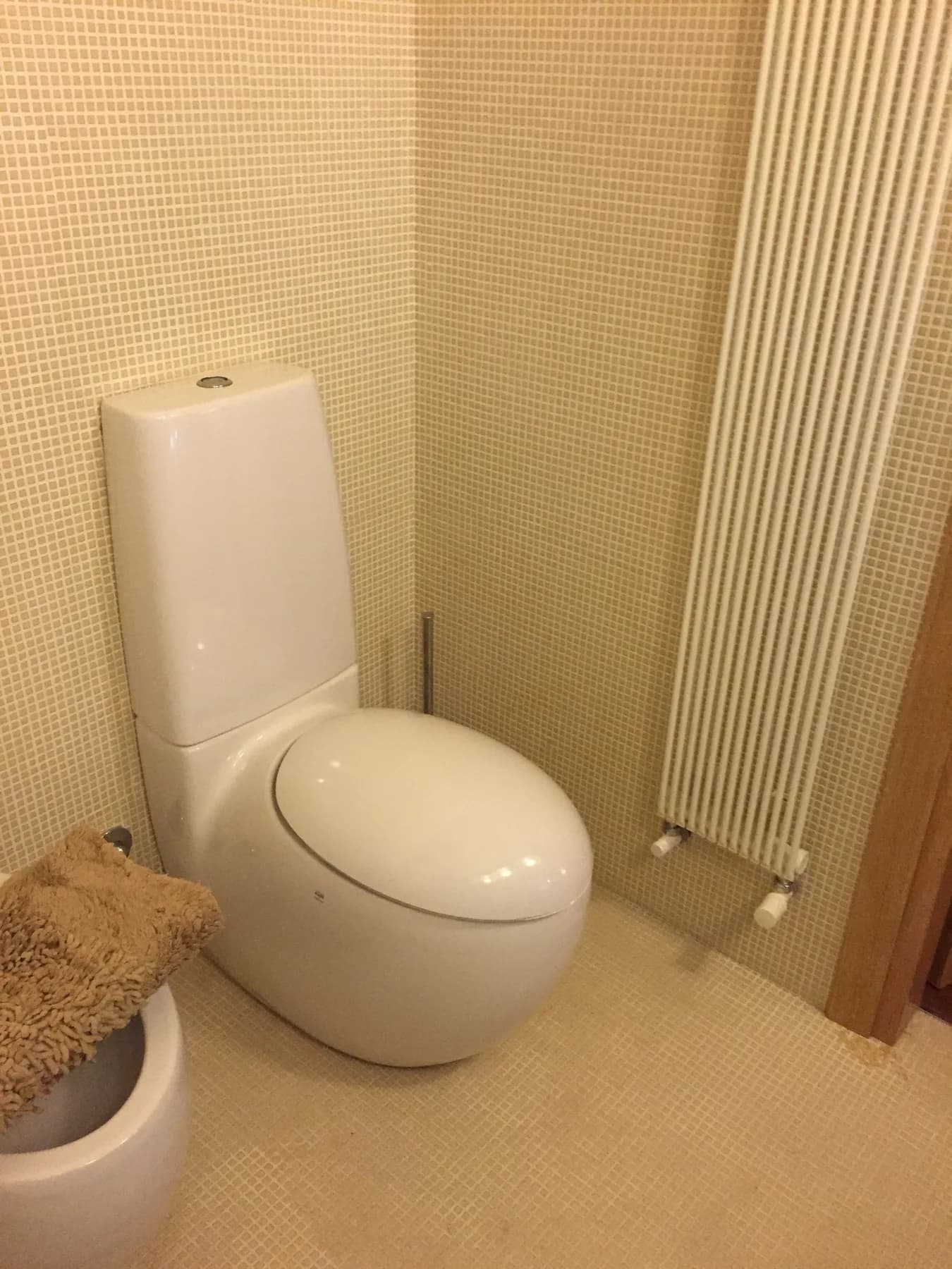 Wall-hung WC and vertical towel radiator